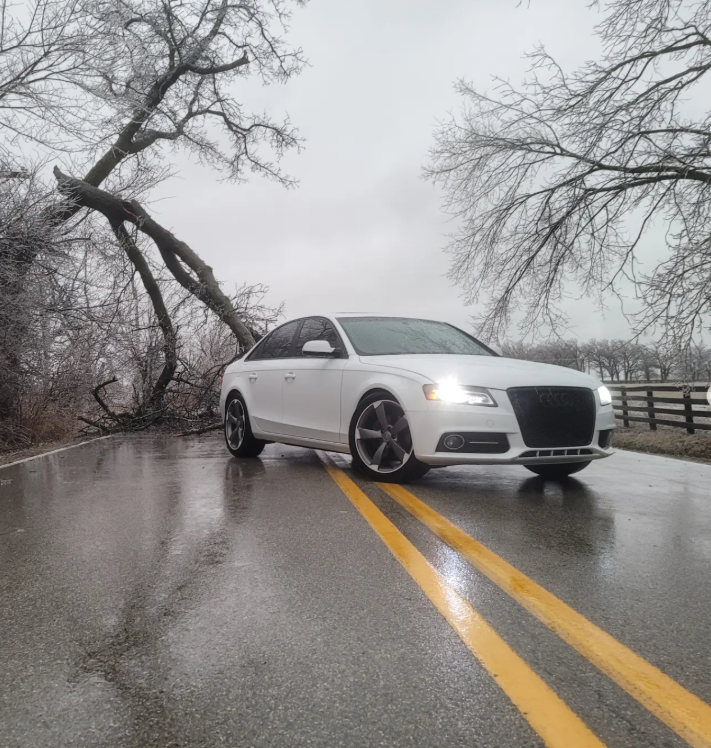 Polaks_Garage white sedan on a tree-lined road